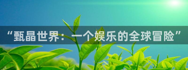 庄闲和游戏官网：“甄晶世界：一个娱乐的全球冒险”