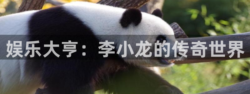 庄闲和游戏官网：娱乐大亨：李小龙的传奇世界