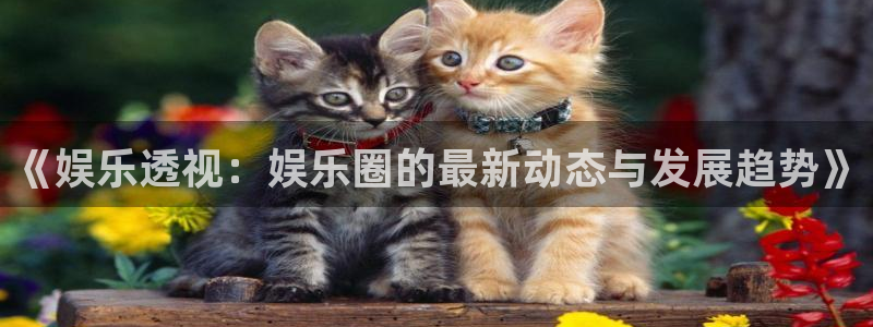 庄闲和游戏官网：《娱乐透视：娱乐圈的最新动态与发展趋势》