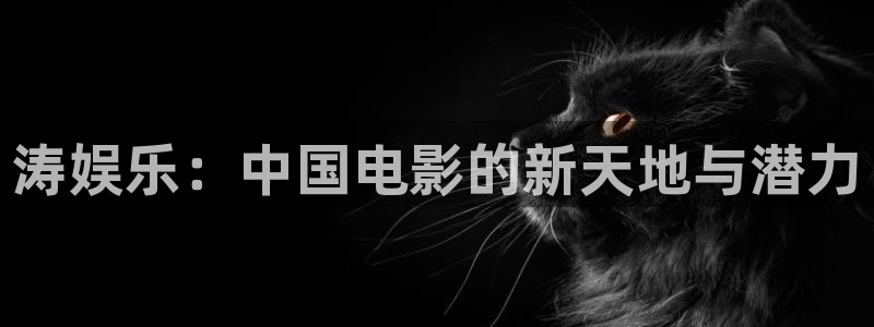 庄闲和游戏官网：涛娱乐：中国电影的新天地与潜力