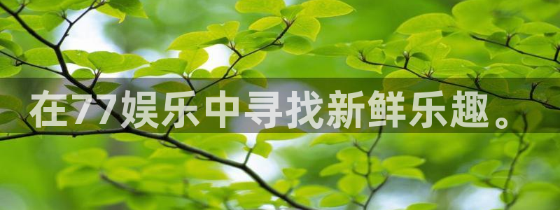 庄闲和游戏官网：在77娱乐中寻找新鲜乐趣。