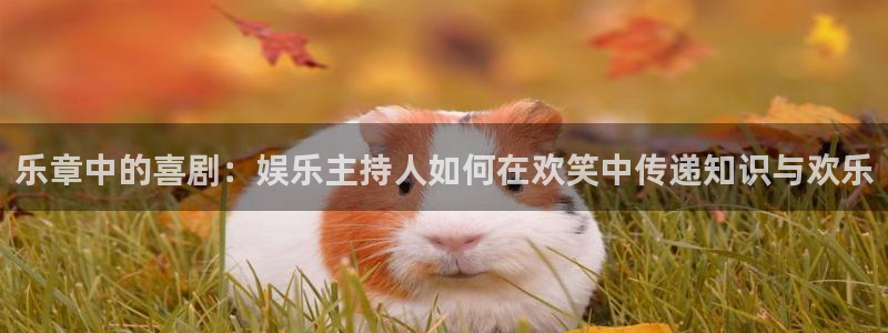 庄闲和游戏官网：乐章中的喜剧：娱乐主持人如何在欢笑中传递知识与欢乐